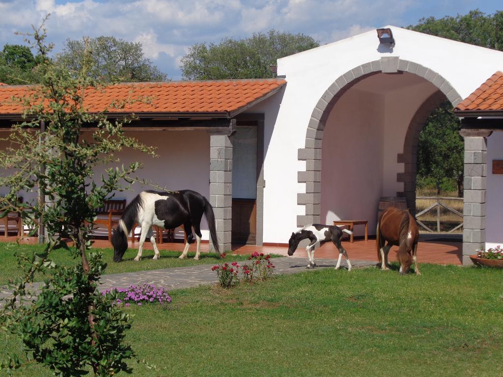 Hotel Su Baione Abbasanta Εξωτερικό φωτογραφία